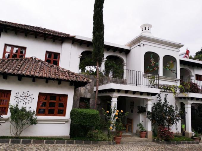 Hotel Y Jardines Casa Buho Antigua