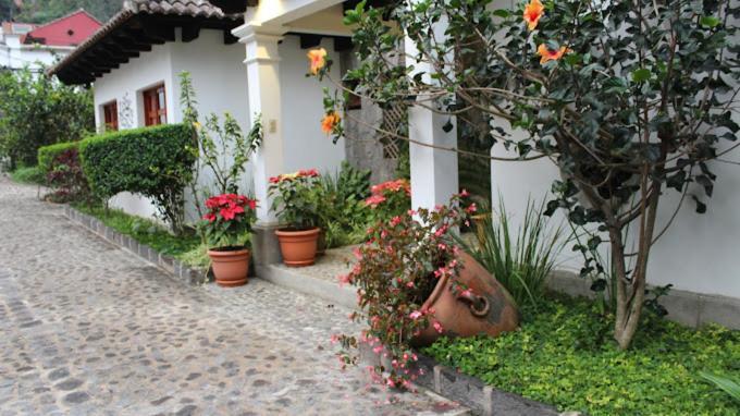 Y Jardines Casa Buho