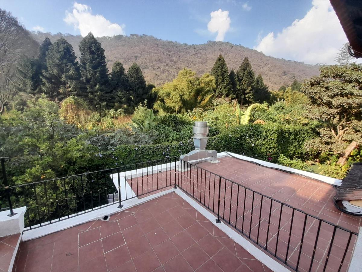Y Jardines Casa Buho Hotel