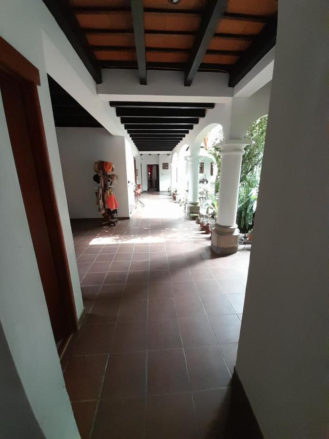 Y Jardines Casa Buho Hotel
